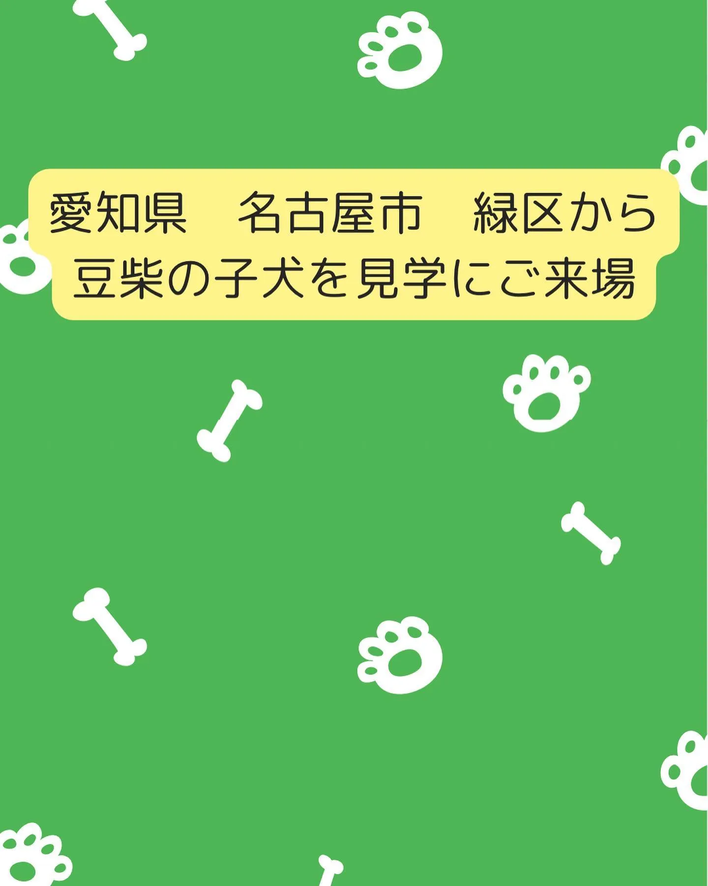 愛知県名古屋市緑区から、豆柴の子犬を見学しに来場されました。