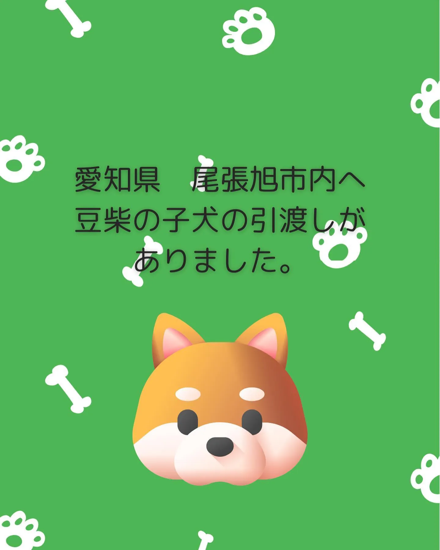 愛知県尾張旭市内へ豆柴の子犬が巣立っていきました。