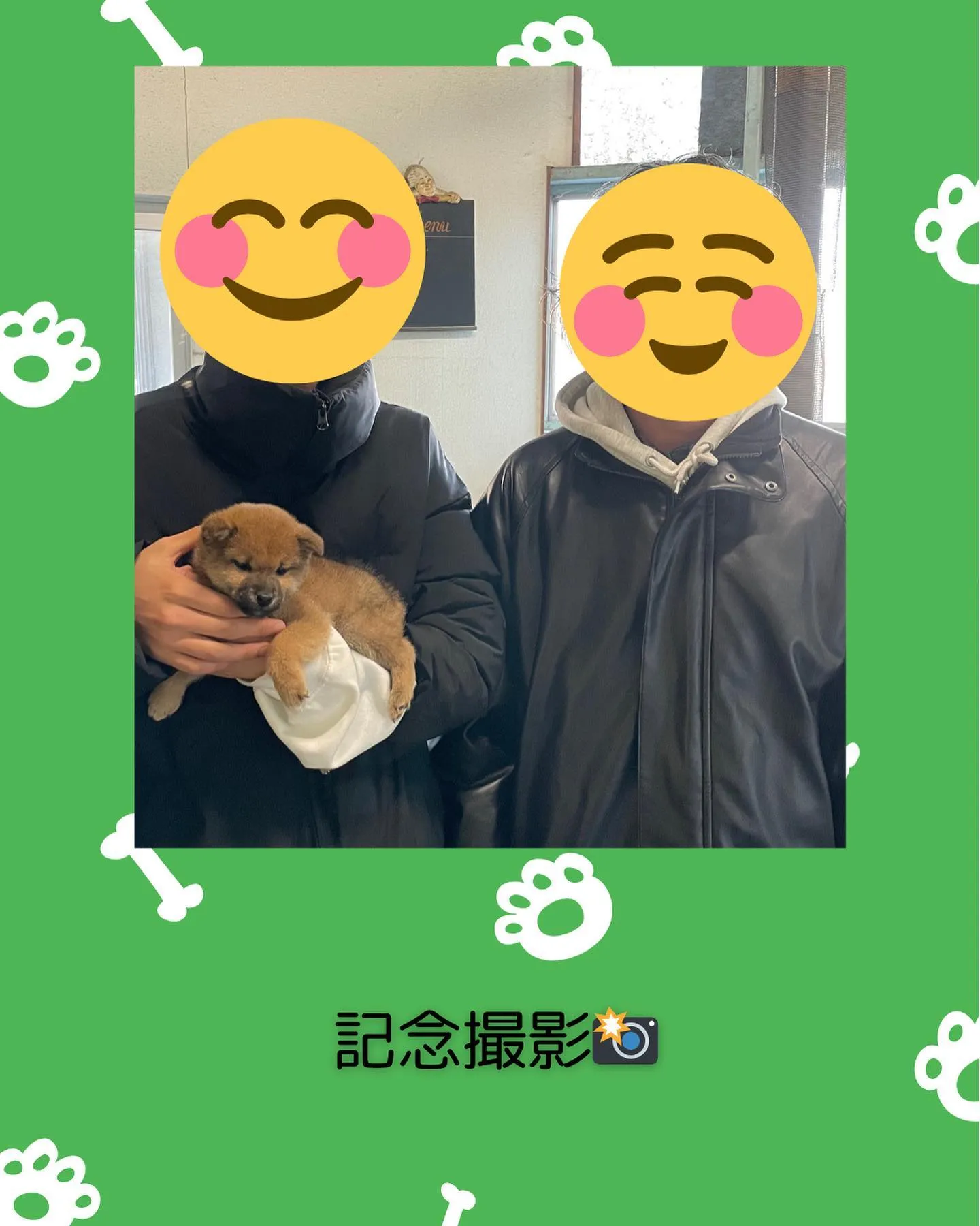 愛知県尾張旭市内へ豆柴の子犬が巣立っていきました。