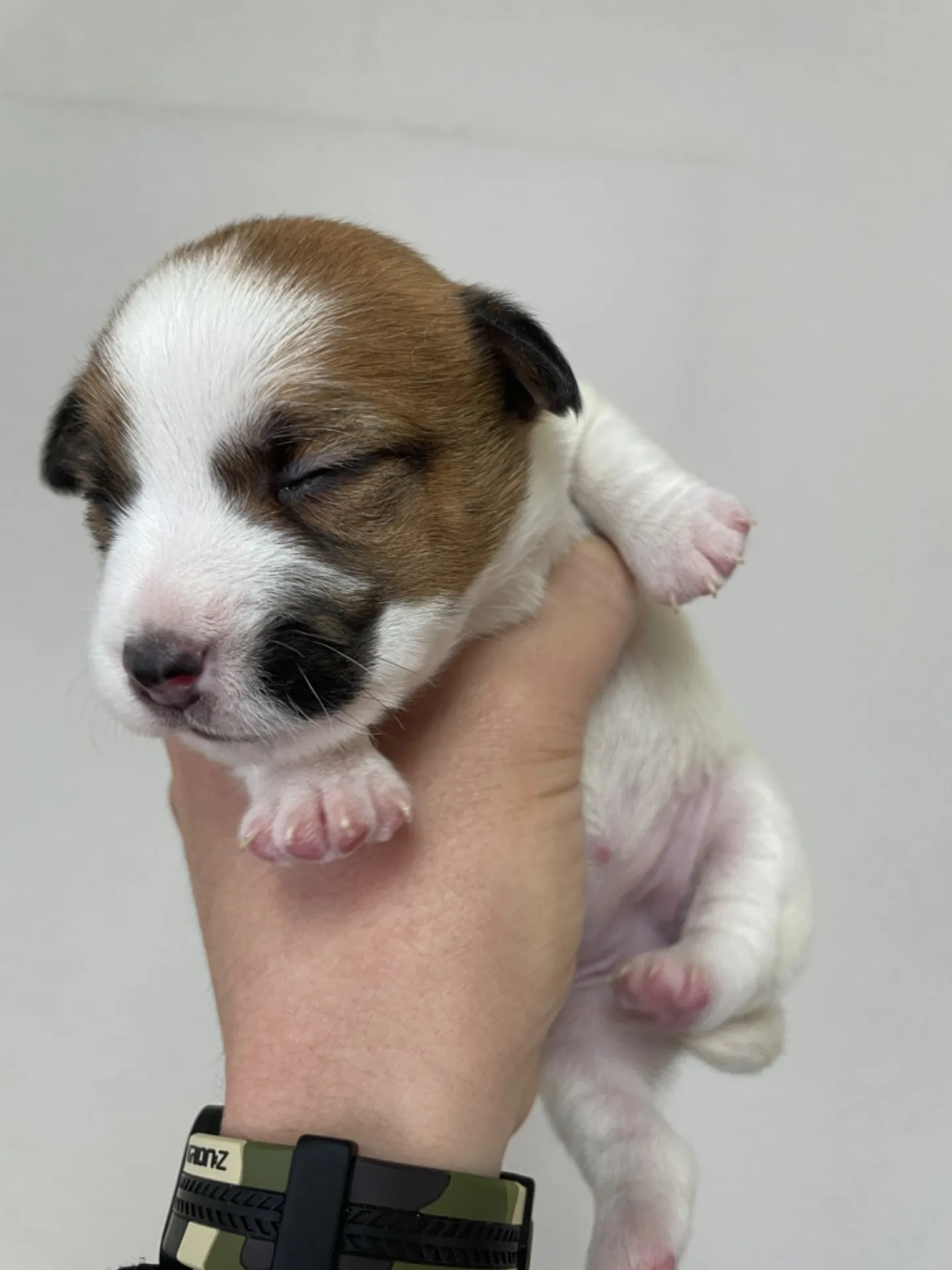 コロスケ✖️モナ　女の子①