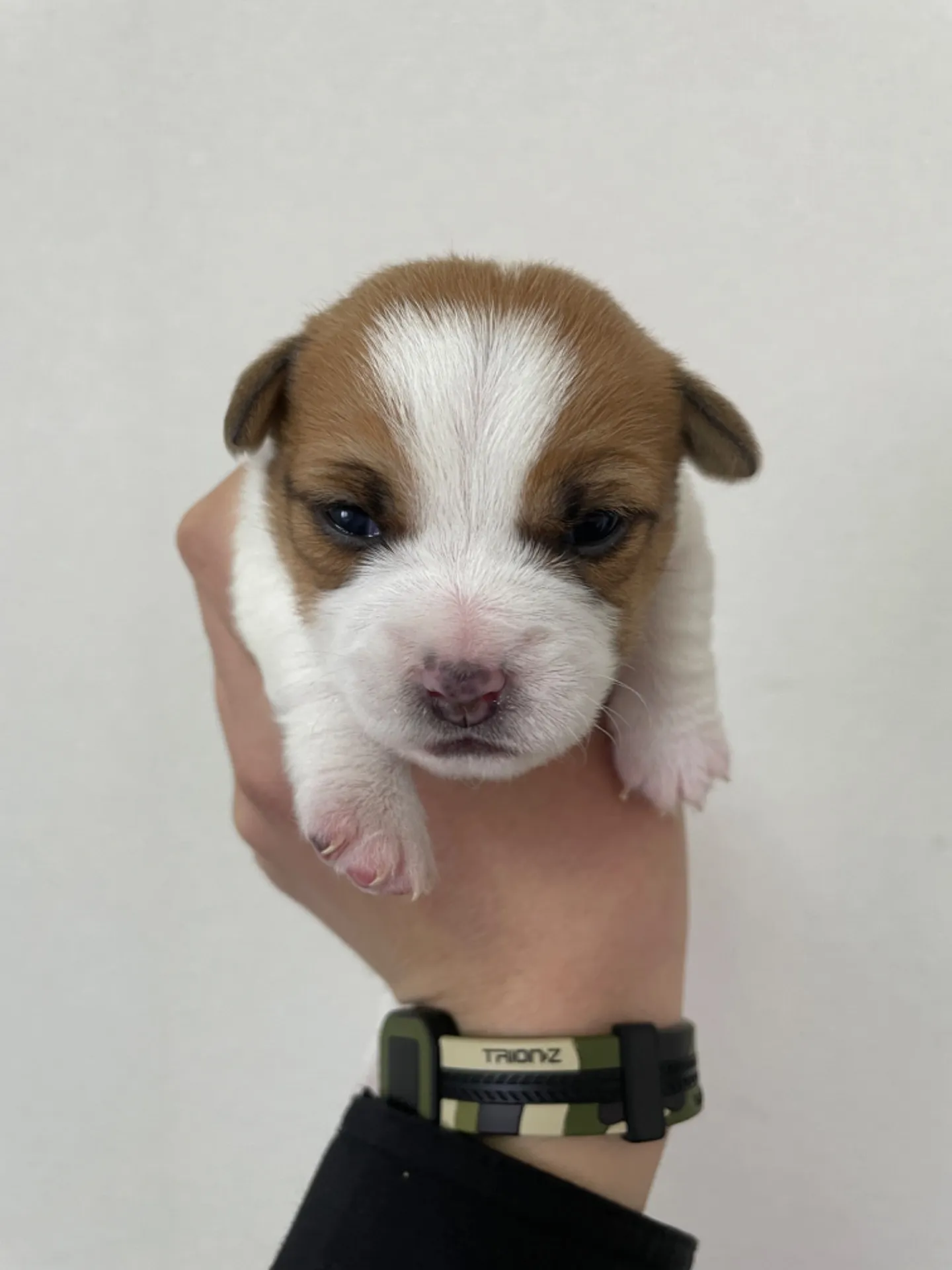 コロスケ✖️モナ　女の子②