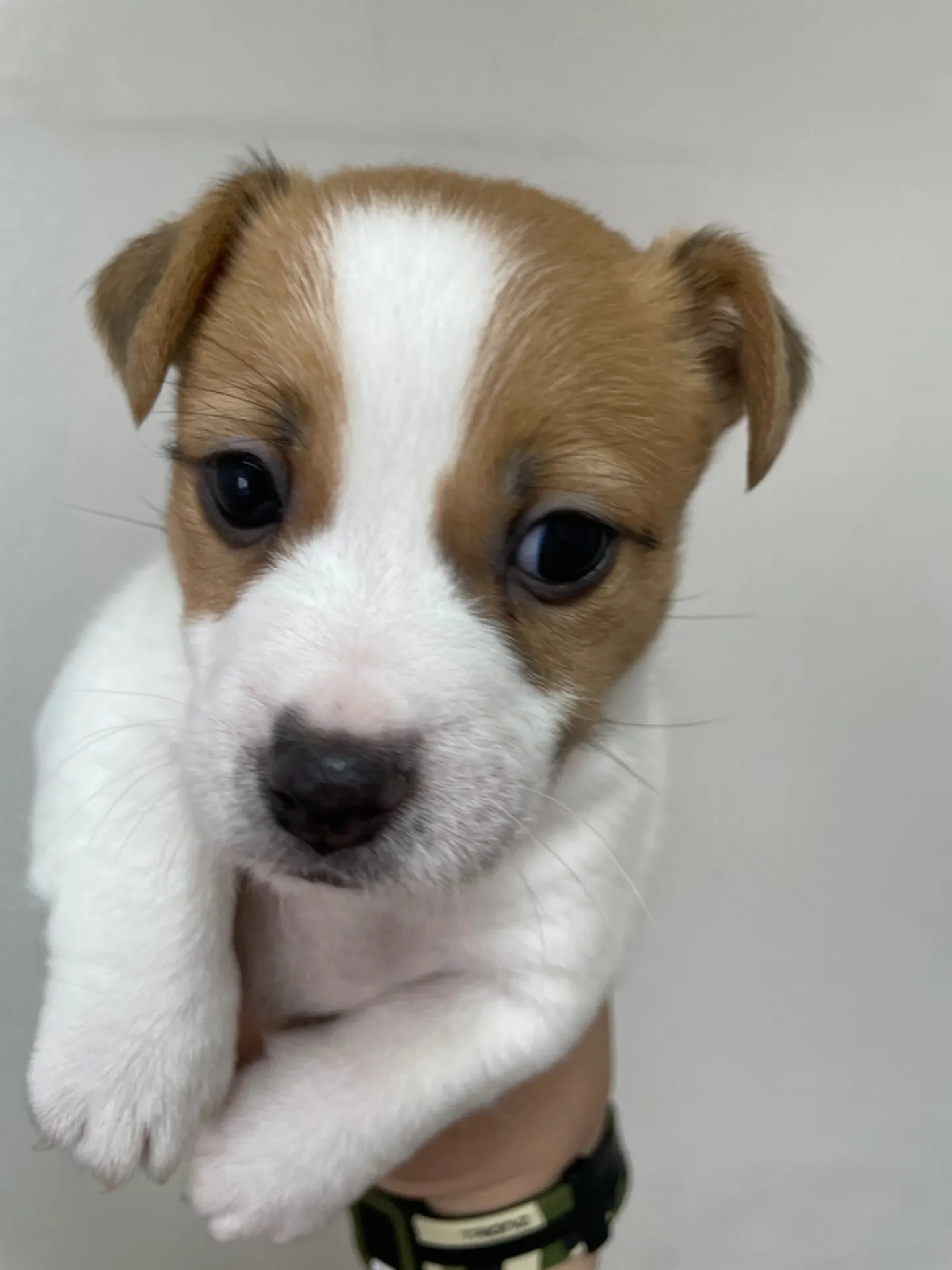 コロスケ✖️モナ　女の子②