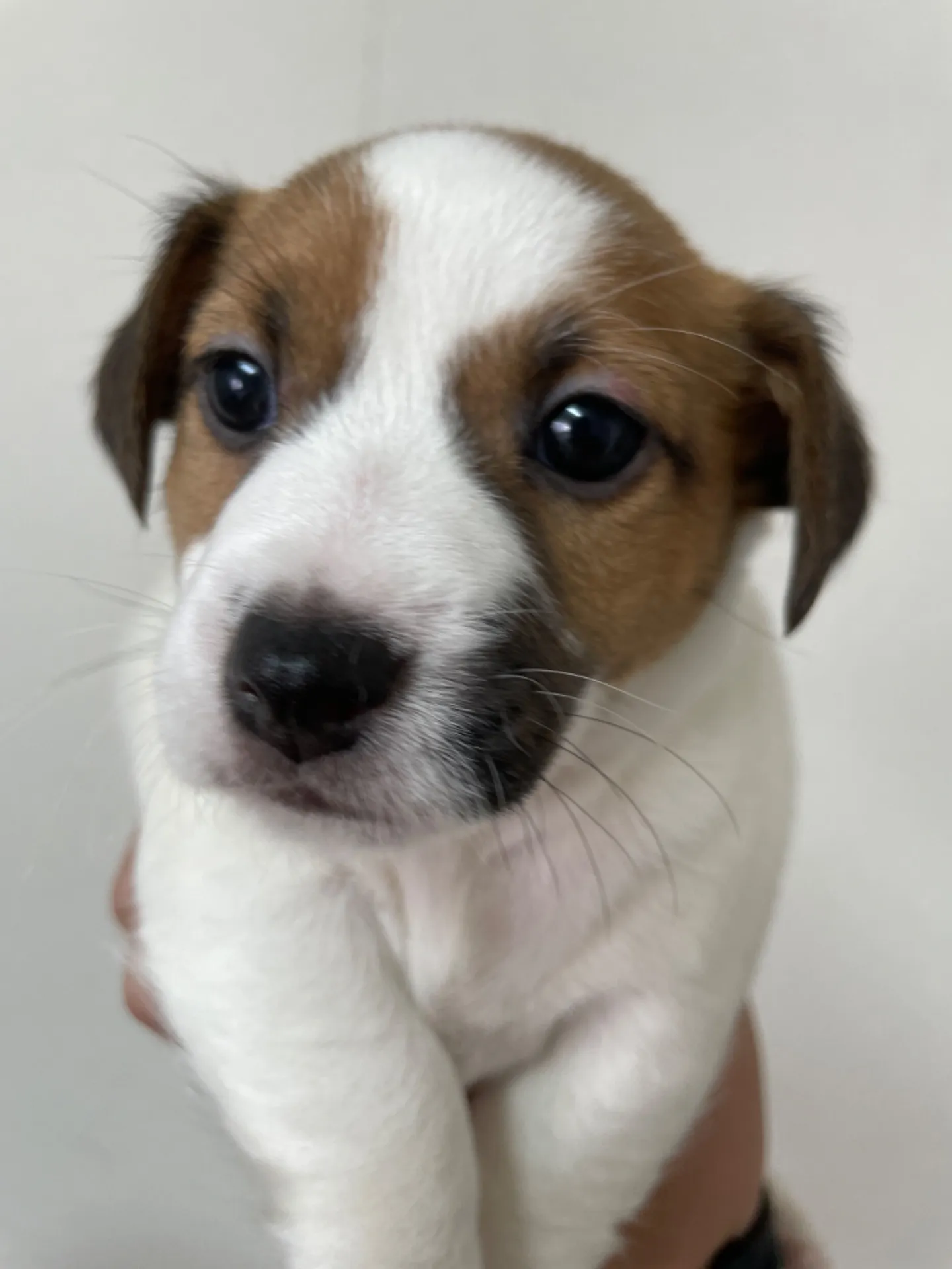 コロスケ✖️モナ　女の子①