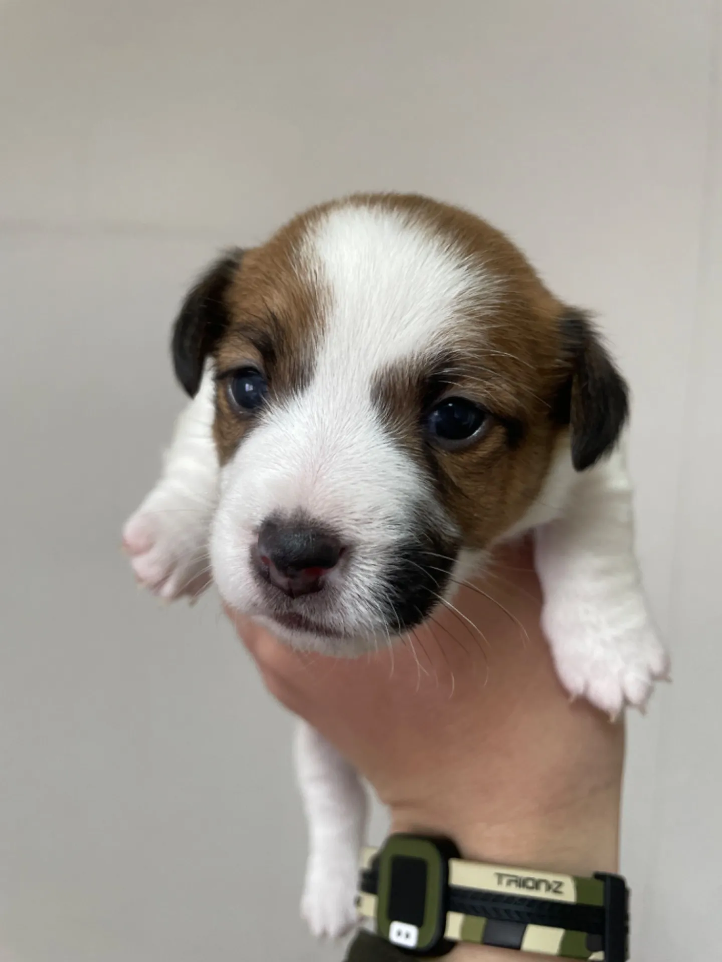 コロスケ✖️モナ　女の子①