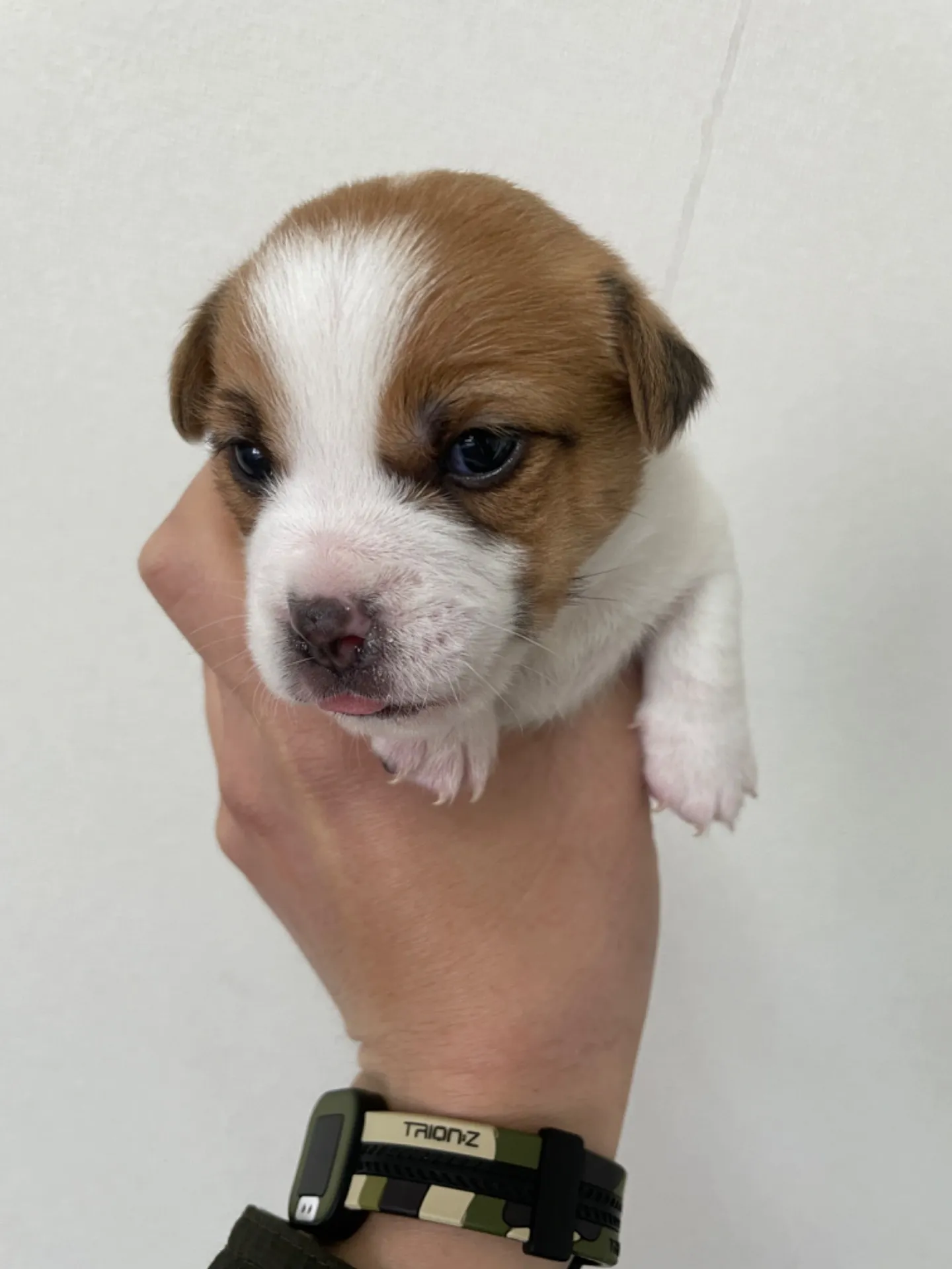 コロスケ✖️モナ　女の子②