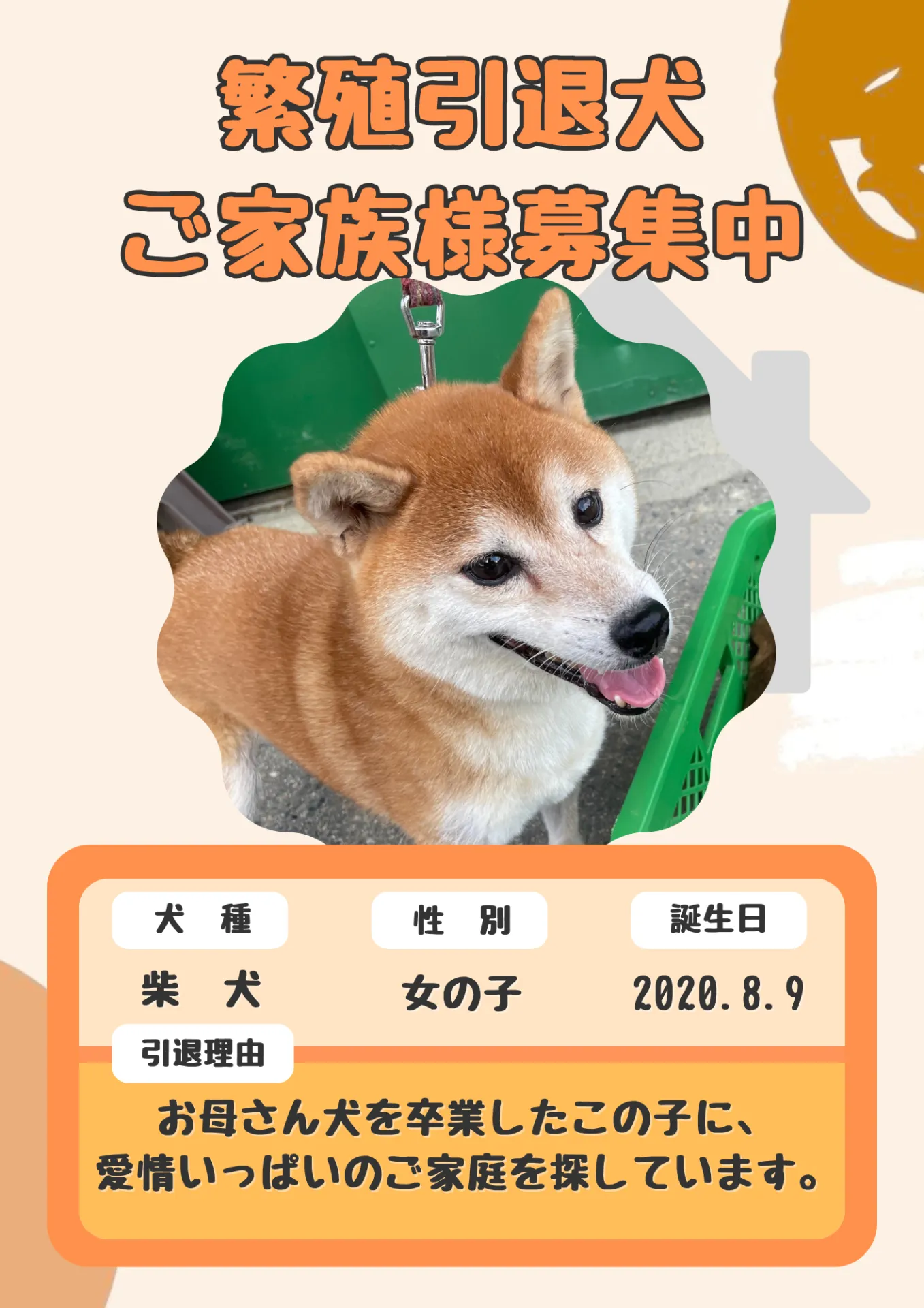 家族が決まりました。