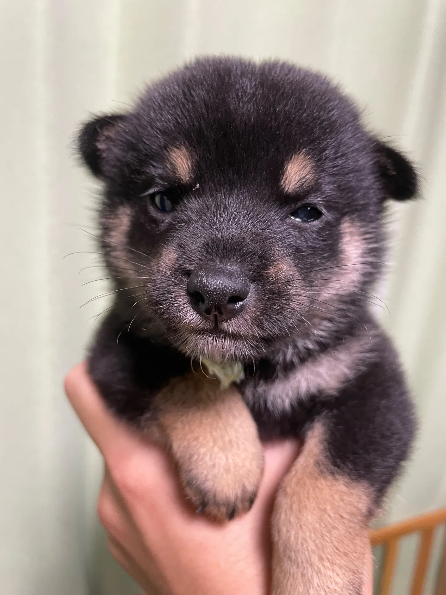 我が家から巣立っていきました。