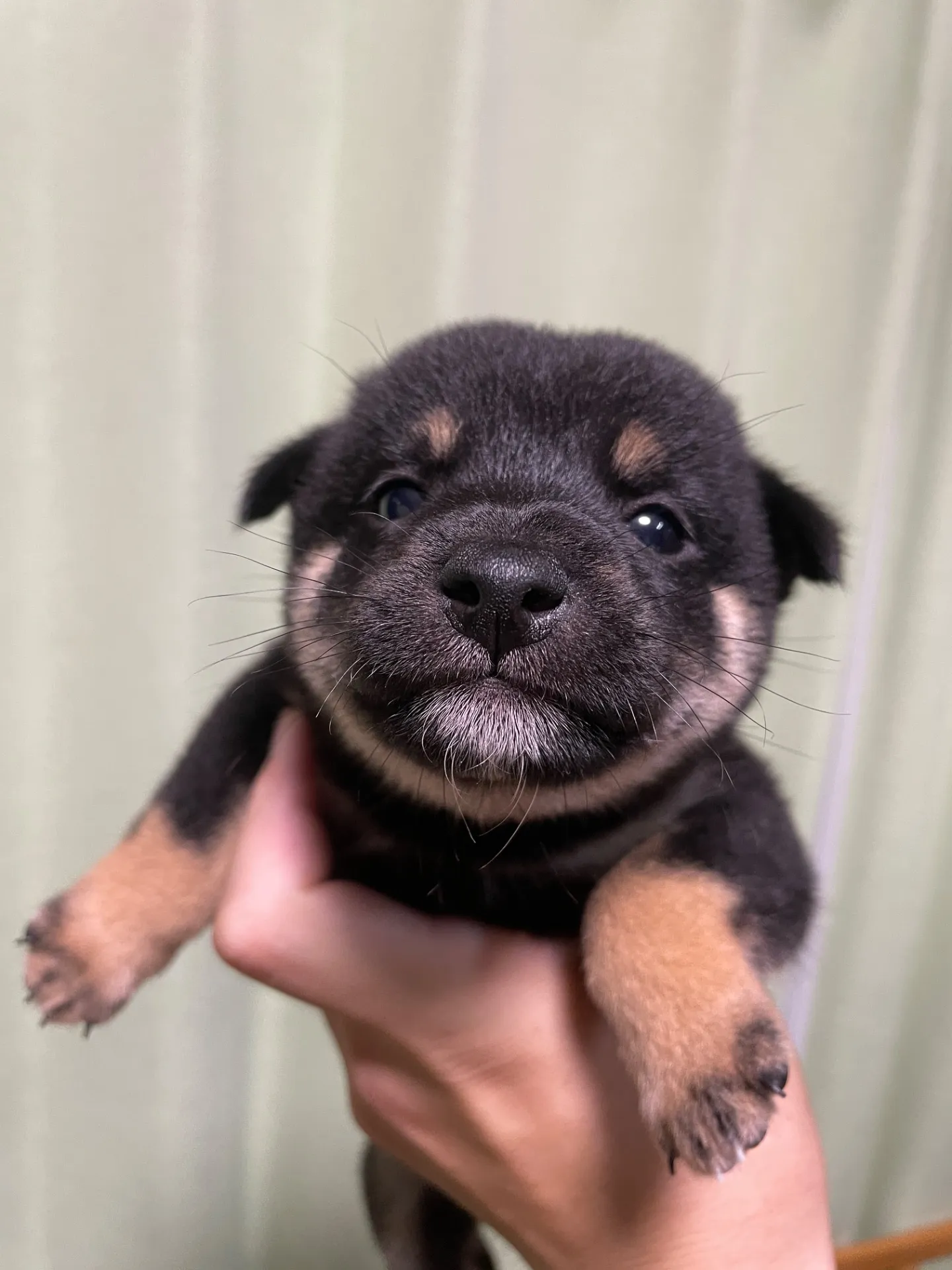 我が家から巣立っていきました。