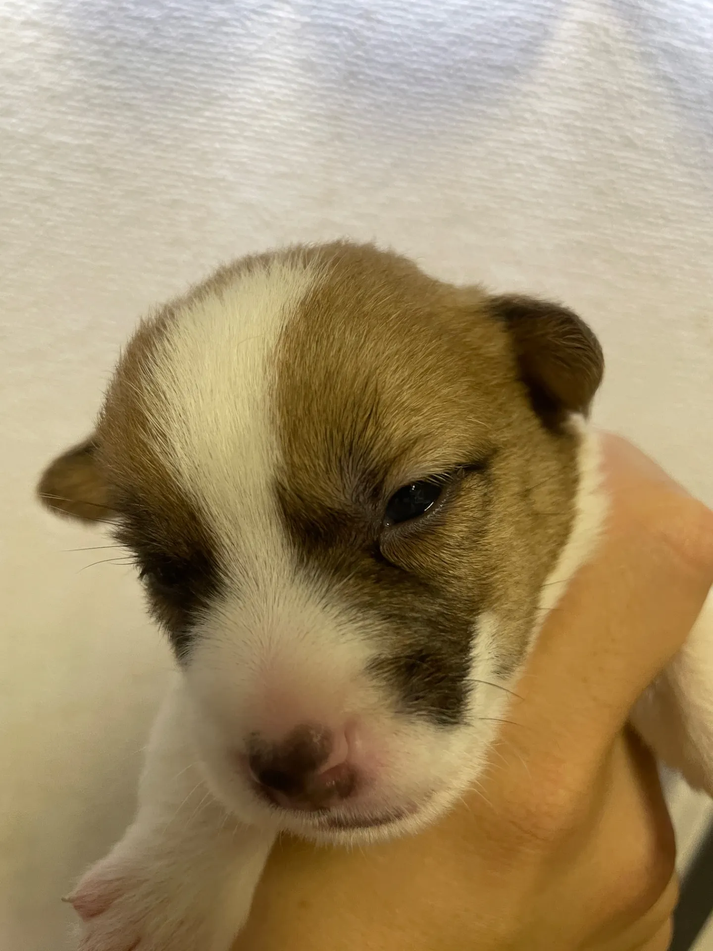 我が家から巣立っていきました。