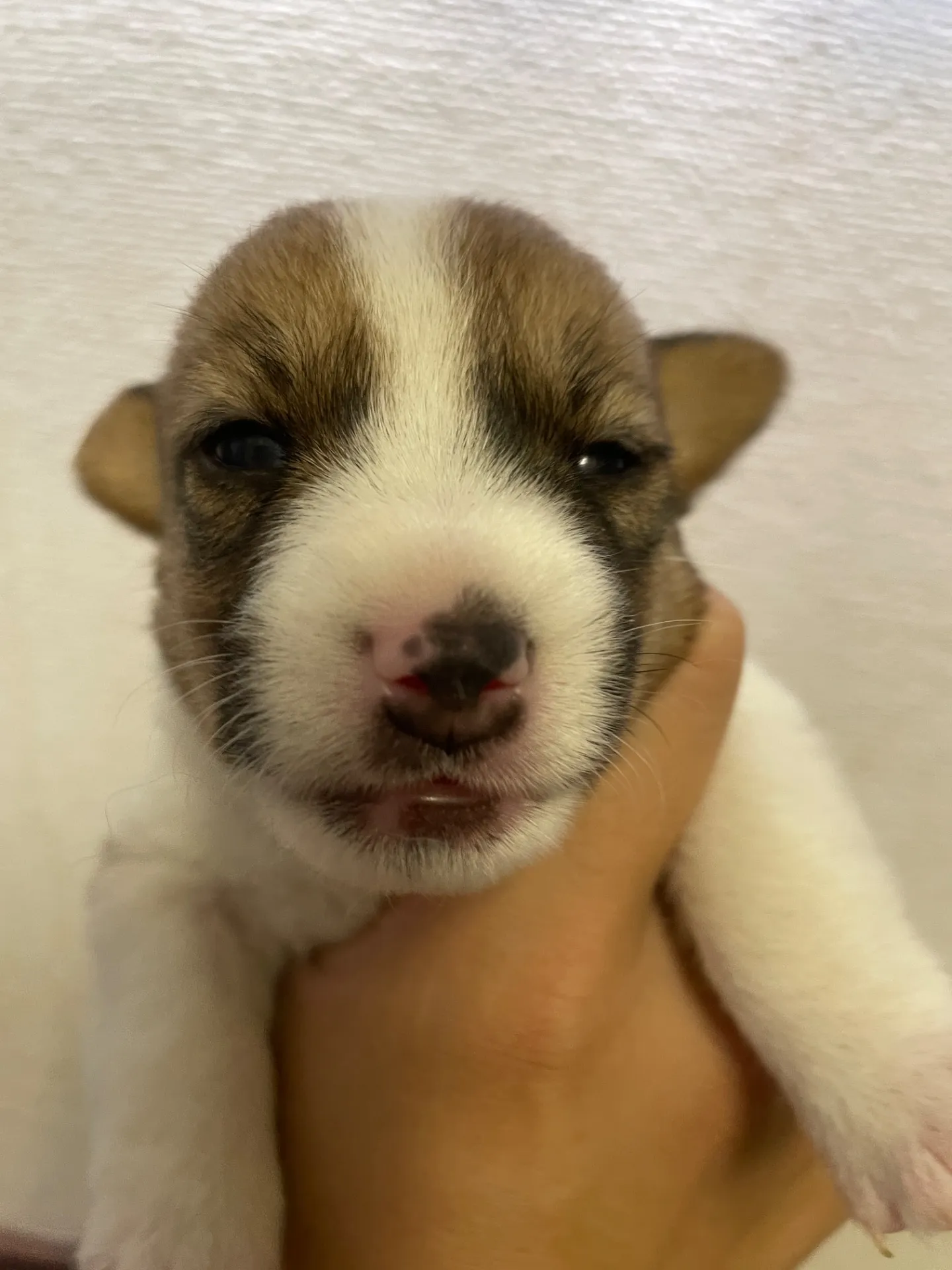 我が家から巣立っていきました。