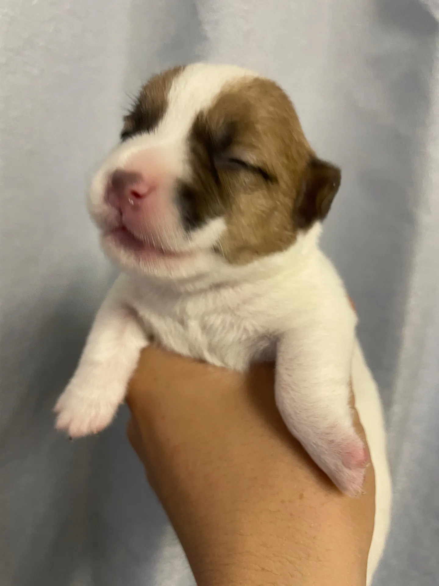 我が家から巣立っていきました。