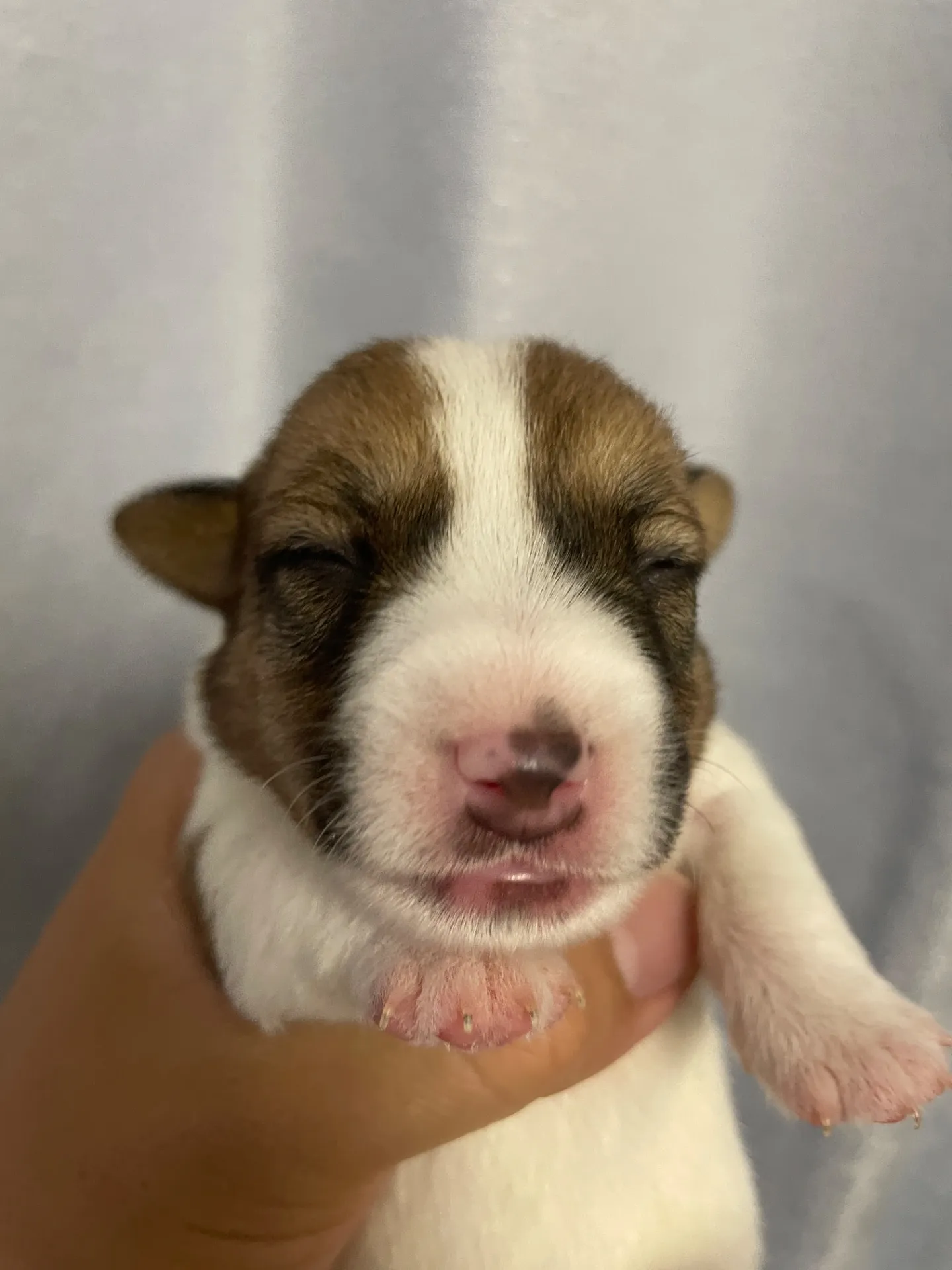 我が家から巣立っていきました。