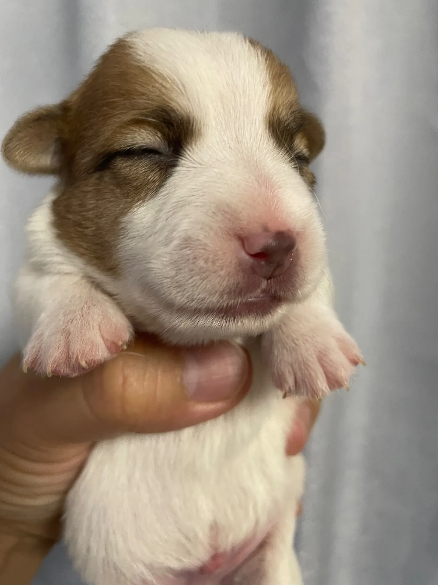 我が家から巣立っていきました。