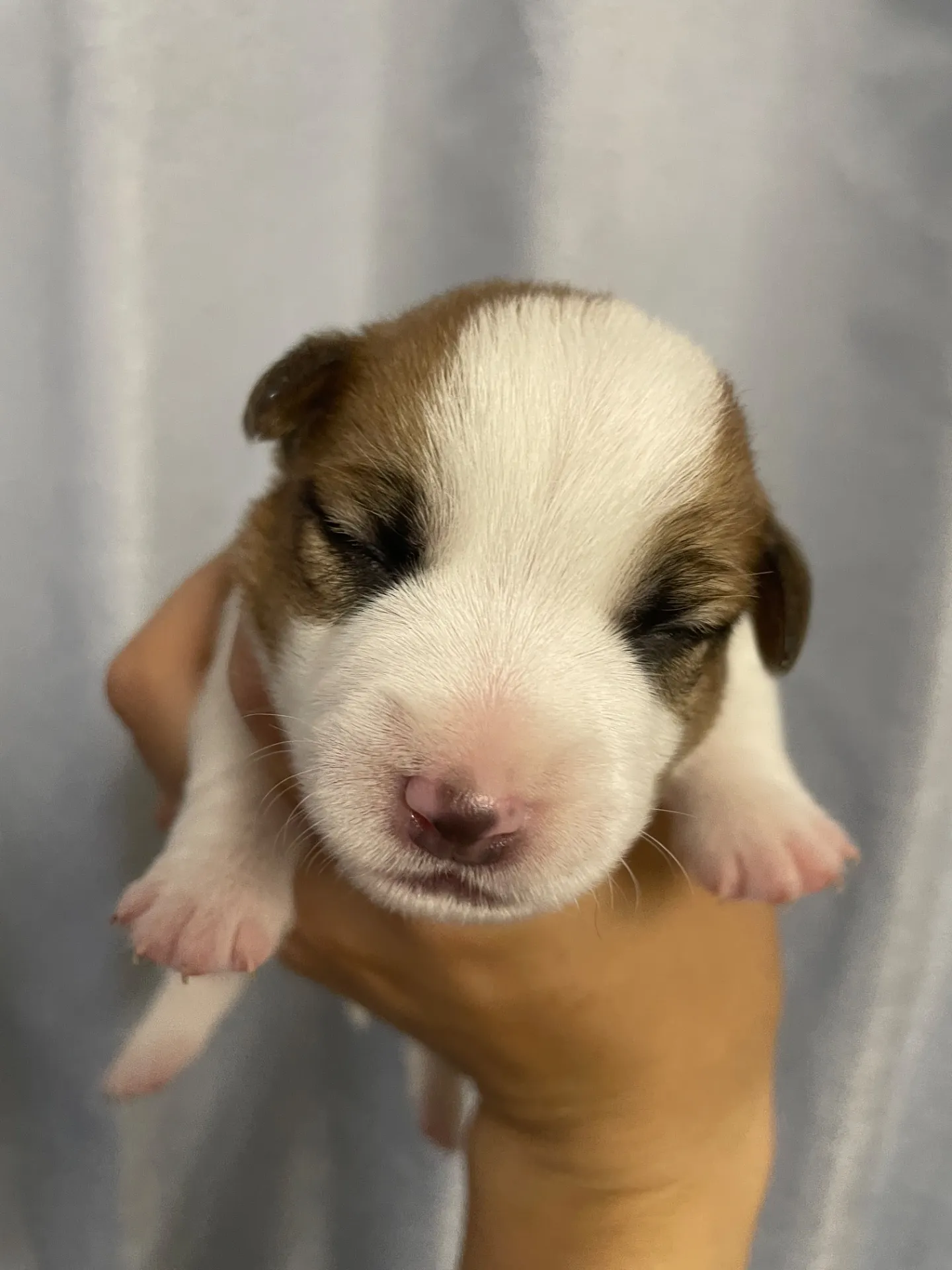 我が家から巣立っていきました。