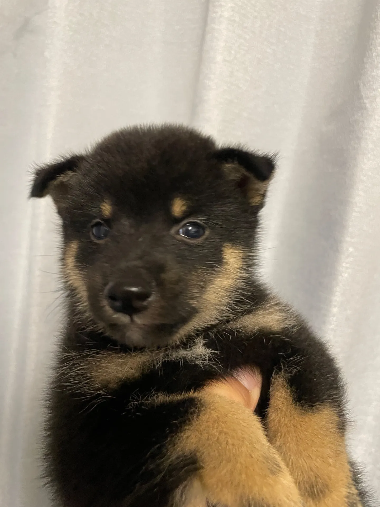 我が家から巣立っていきました。