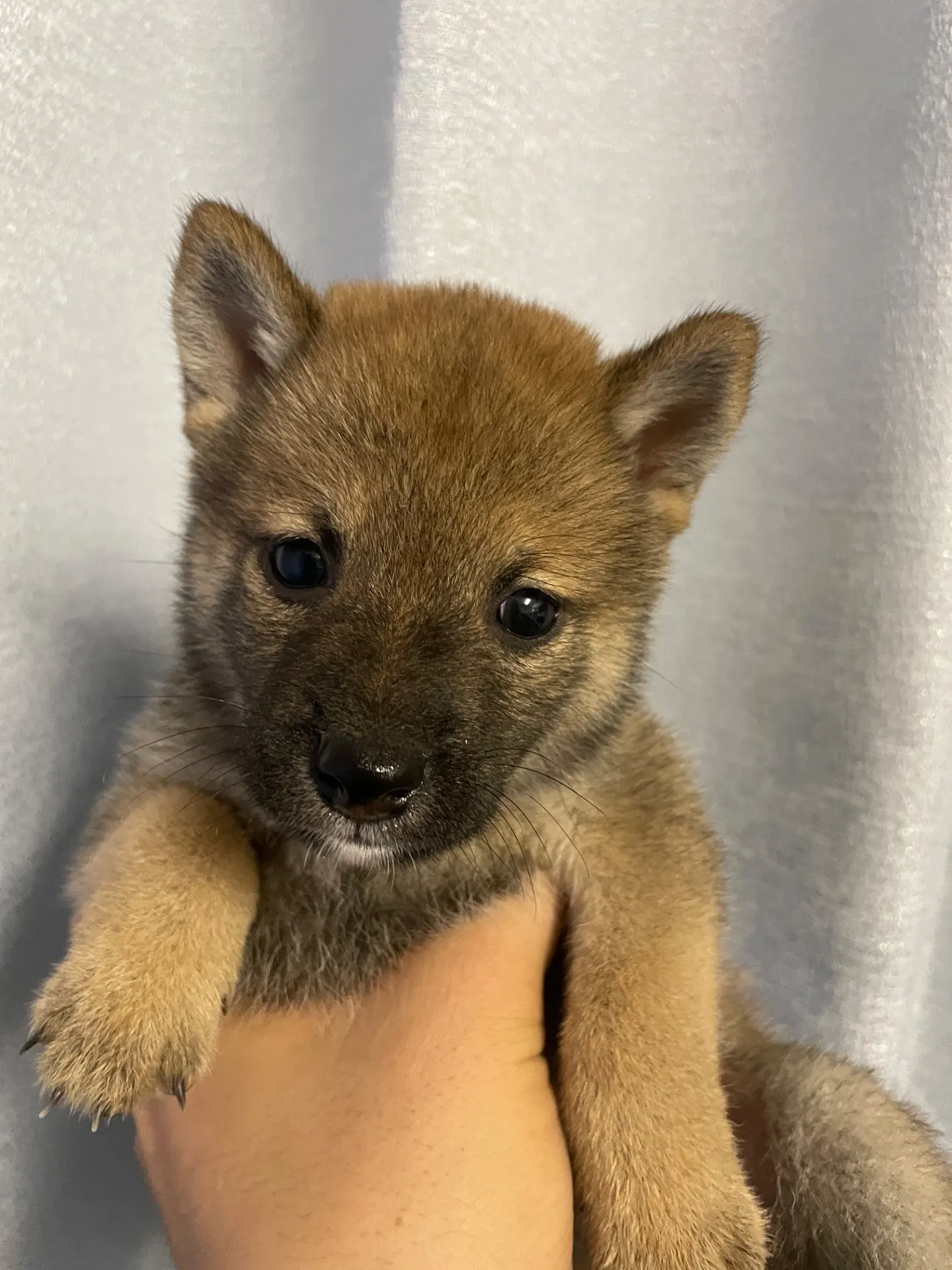 我が家から巣立っていきました。