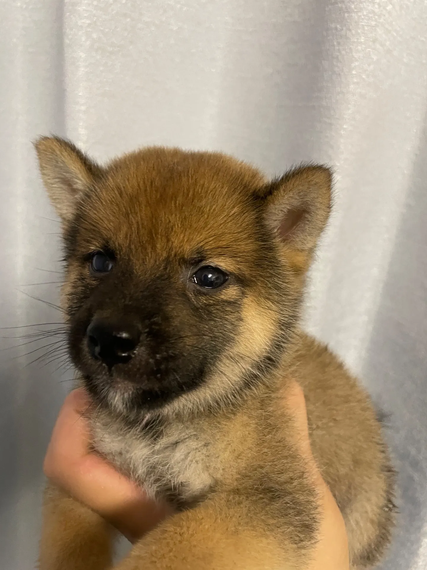 我が家から巣立っていきました。