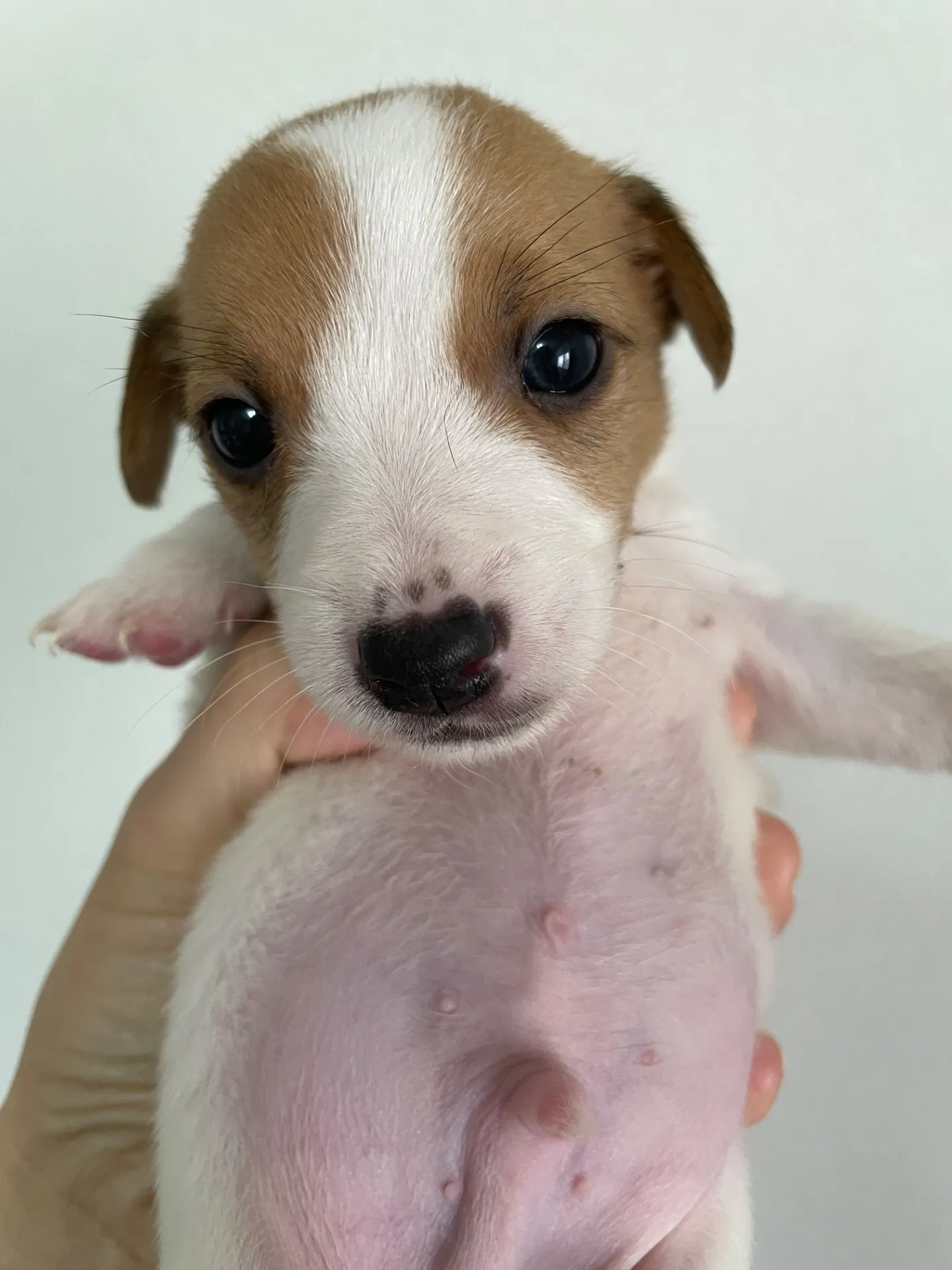 我が家から巣立っていきました。