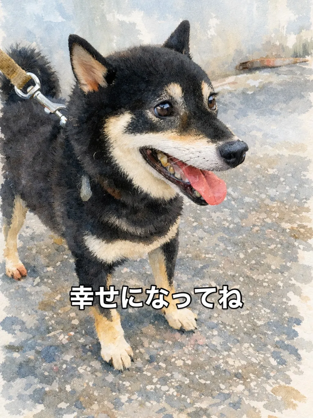 🌸 引退犬の家族が決まりました 🌸