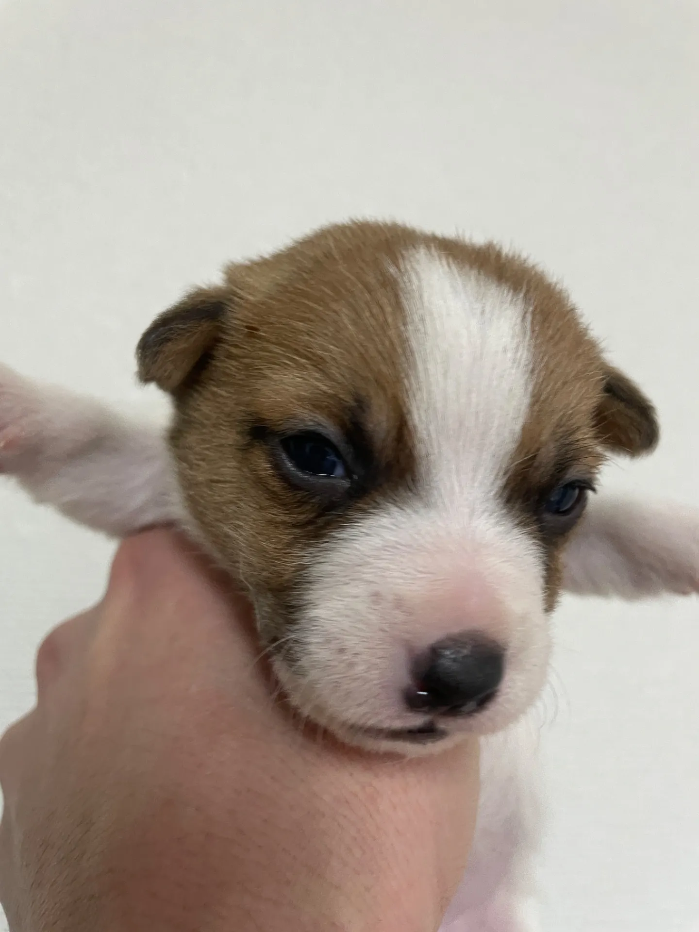 サダハル×メンチ　男の子③