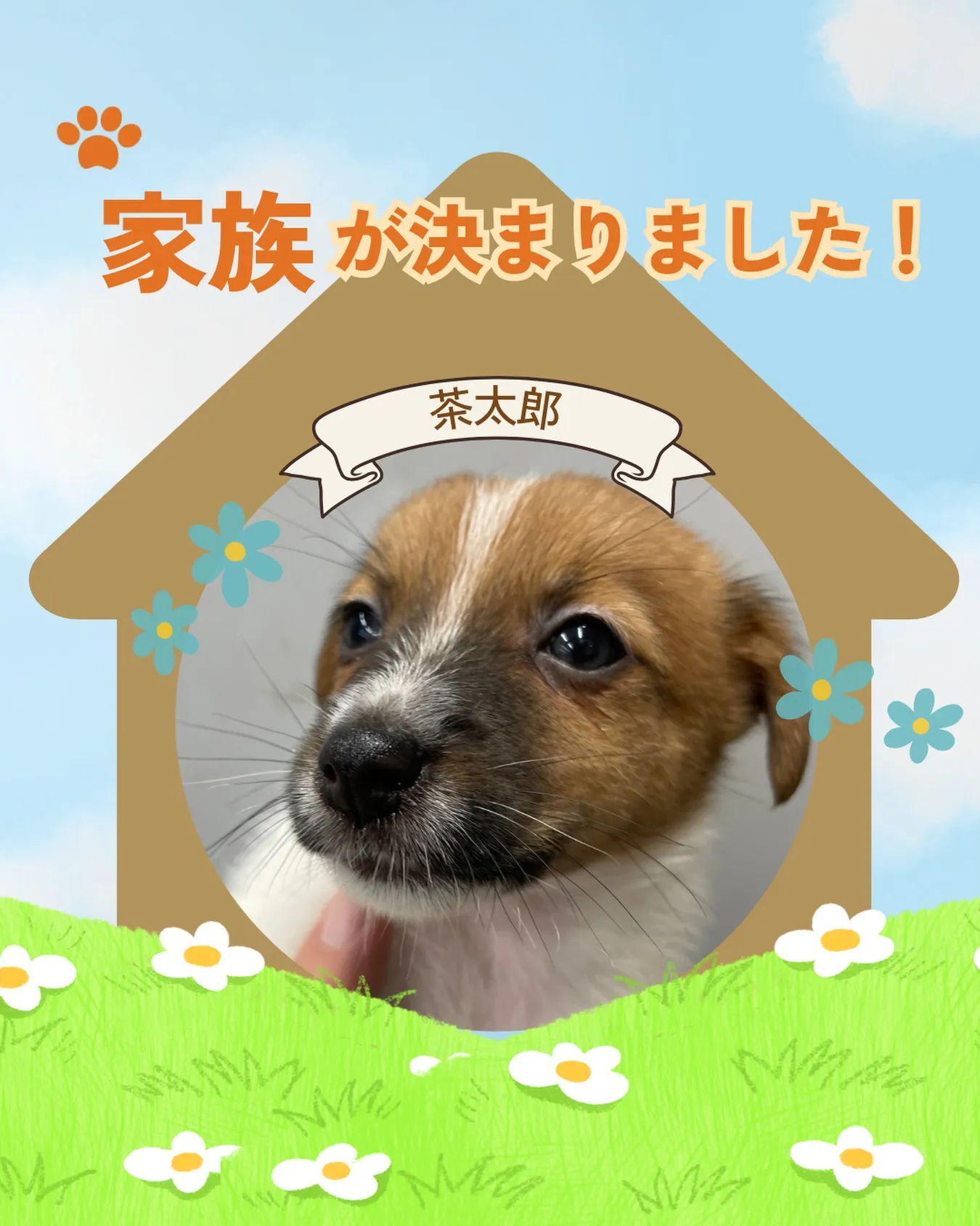 【家族が決まりました🐶】