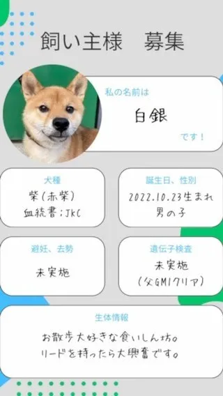 愛知県名古屋市名東区へ、繁殖引退犬のトライアルをしていただい...