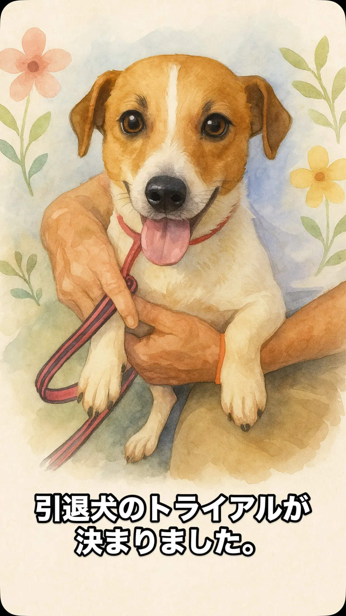 繁殖引退犬ウニちゃんのトライアルが始まりました！