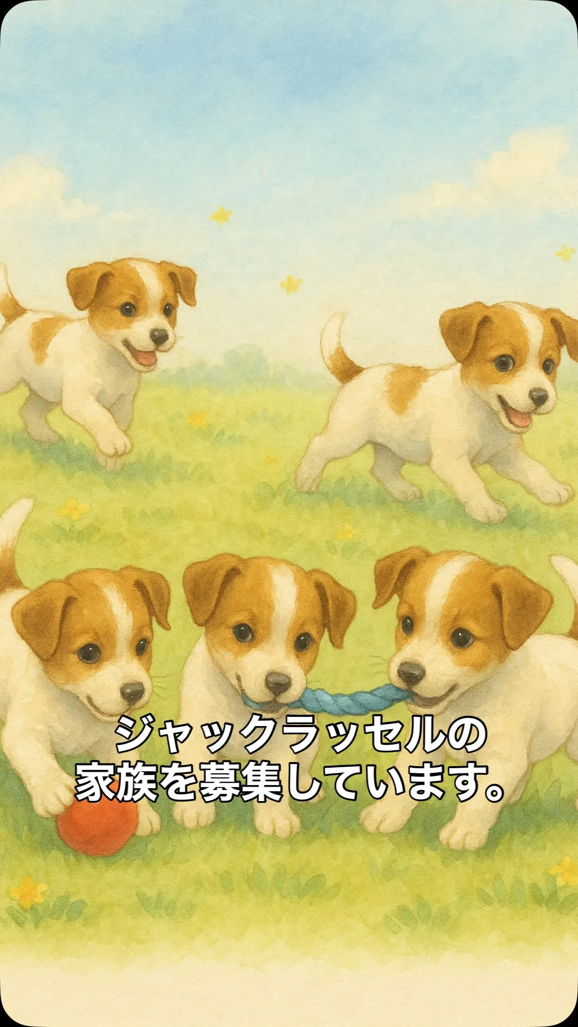 ✨ジャックラッセル 7/4生まれ 5兄妹 家族募集中✨