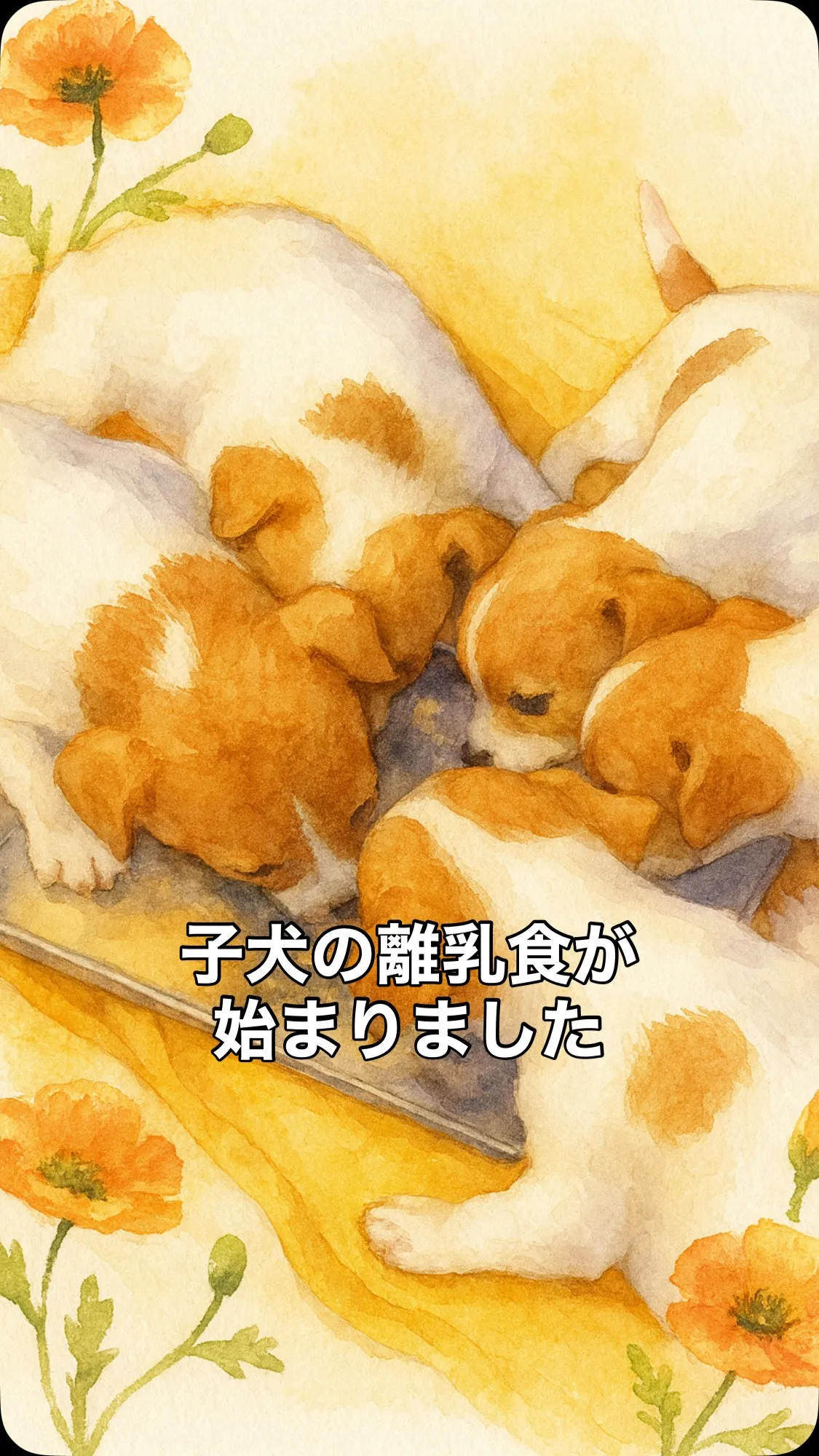 🍽️ 子犬たちの離乳食が始まりました 🐶✨