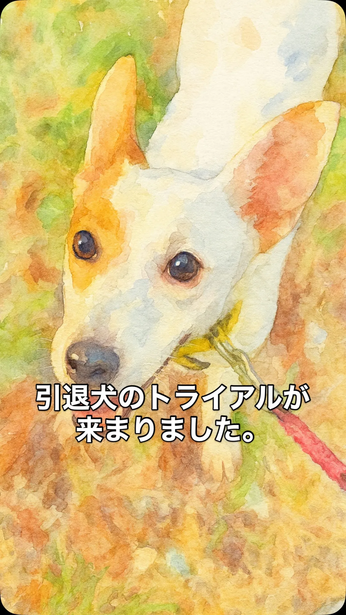 🌸ご報告🌸