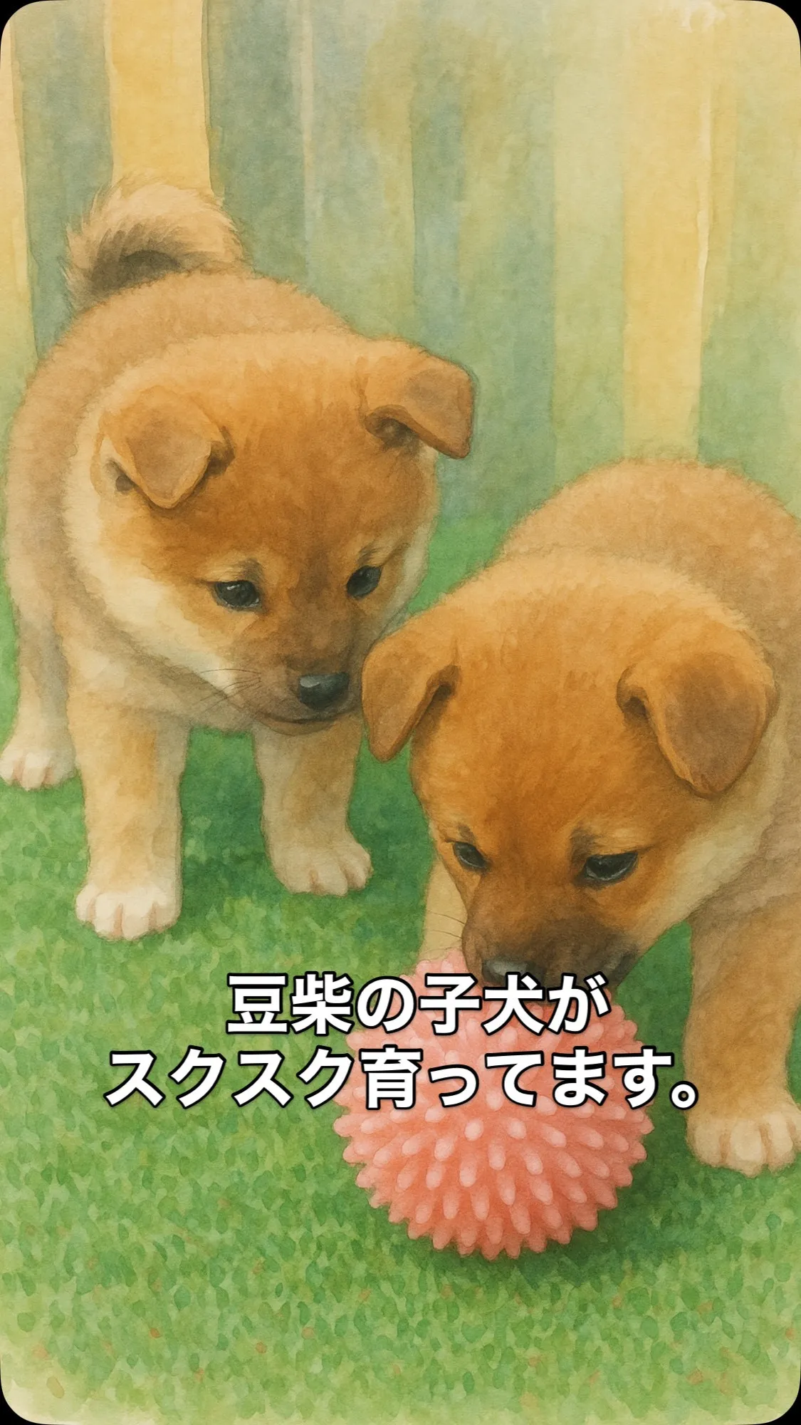 🐾 豆柴兄弟の成長記録 🐾