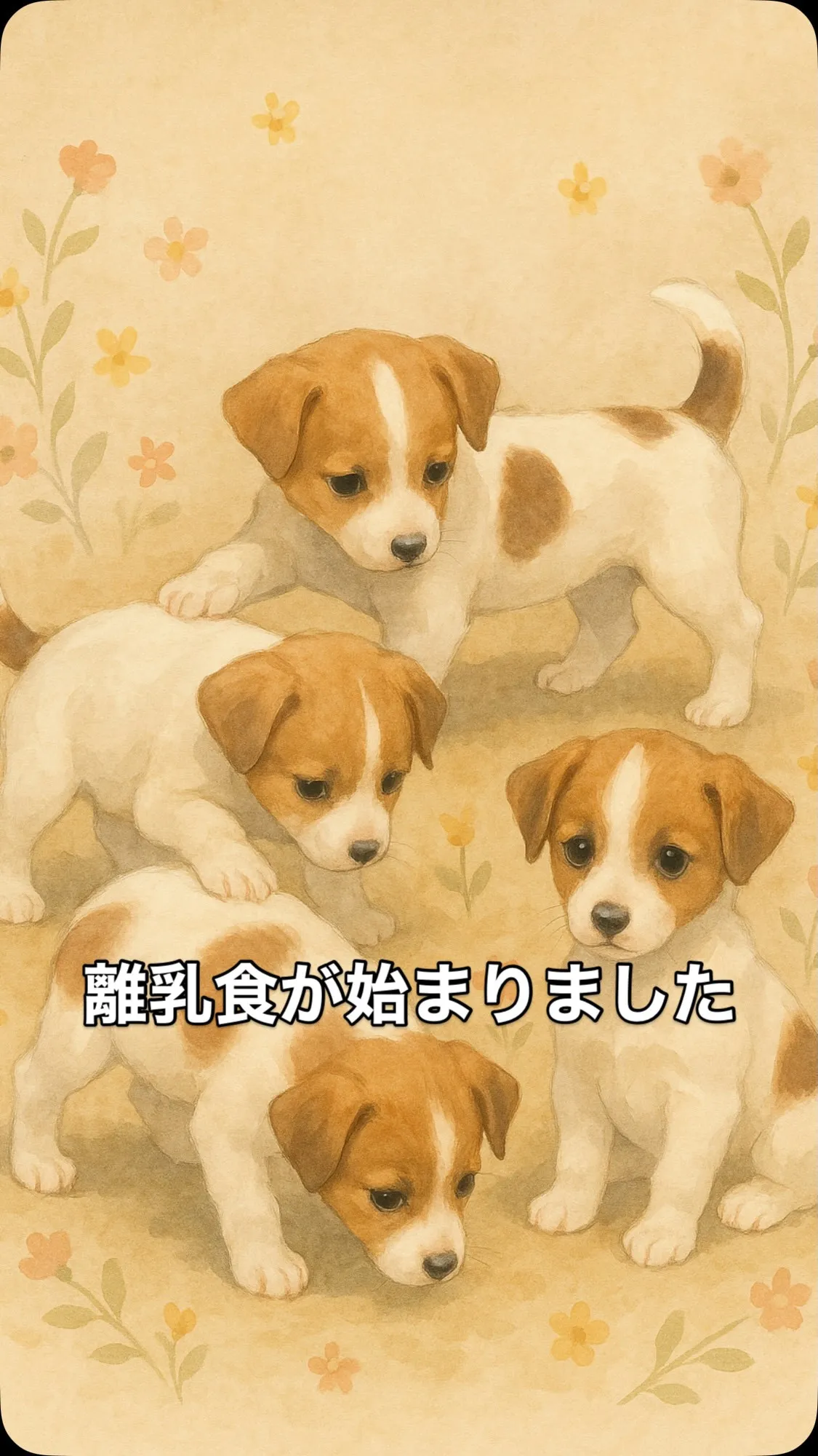 🍼離乳食が始まりました